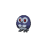 Shadow Rowlet